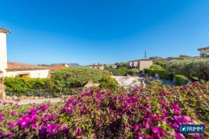 Villa il Pellicano |  -  - 