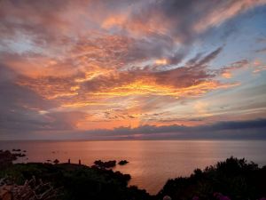 Villetta K1 sul Mare |  -  - 