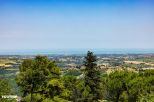 Villa un Bouquet sul Mare  | Riccione - Частные дома и виллы - Riviera Romagnola
