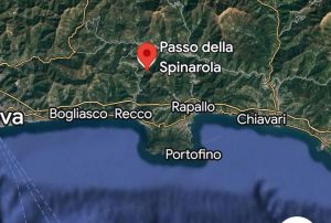 La Tenuta degli Dei  |  -  - 