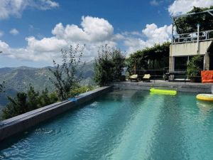 La Tenuta degli Dei  |  -  - 