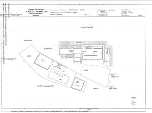 La Tenuta degli Dei  |  -  - 