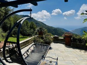 La Tenuta degli Dei  |  -  - 