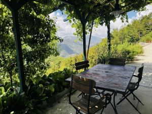 La Tenuta degli Dei  |  -  - 