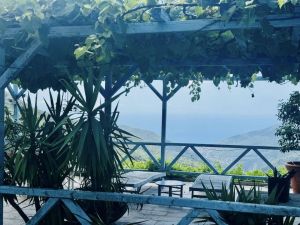 La Tenuta degli Dei  |  -  - 