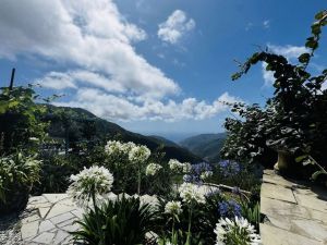 La Tenuta degli Dei  |  -  - 