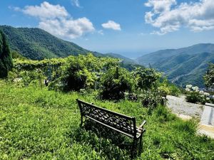 La Tenuta degli Dei  |  -  - 