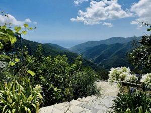 La Tenuta degli Dei  |  -  - 