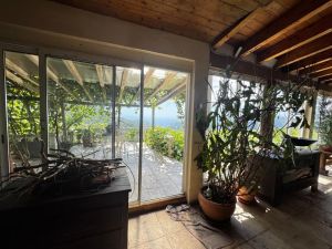 La Tenuta degli Dei  |  -  - 