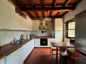 Antico Casale Santa Lucia |  -  - 