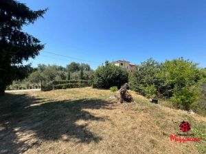 Antico Casale Santa Lucia |  -  - 