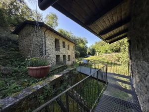 Antica Tenuta il Mulino del Faggio |  -  - 