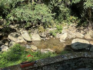 Antica Tenuta il Mulino del Faggio |  -  - 