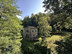 Antica Tenuta il Mulino del Faggio |  -  - 