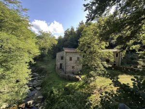 Antica Tenuta il Mulino del Faggio |  -  - 