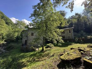 Antica Tenuta il Mulino del Faggio |  -  - 