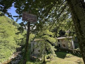 Antica Tenuta il Mulino del Faggio |  -  - 