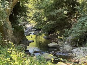 Antica Tenuta il Mulino del Faggio |  -  - 