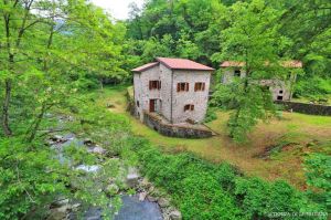 Antica Tenuta il Mulino del Faggio |  -  - 