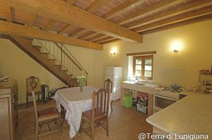 Antica Tenuta il Mulino del Faggio |  -  - 