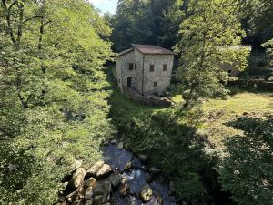 Antica Tenuta il Mulino del Faggio |  -  - 