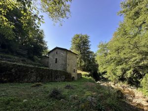 Antica Tenuta il Mulino del Faggio |  -  - 