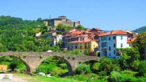 Antica Tenuta il Mulino del Faggio |  -  - 