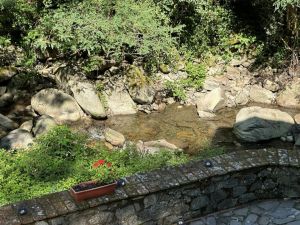 Antica Tenuta il Mulino del Faggio |  -  - 