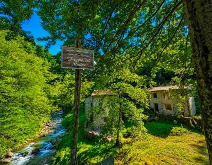 Antica Tenuta il Mulino del Faggio |  -  - 