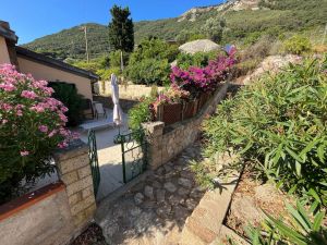 Villa Arenelle del Giglio |  -  - 