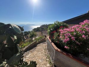 Villa Arenelle del Giglio |  -  - 