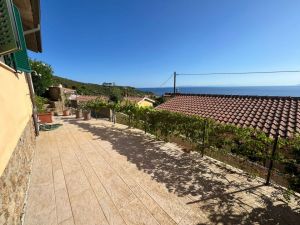 Villa Arenelle del Giglio |  -  - 