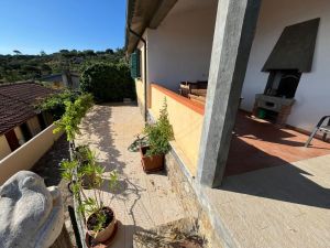 Villa Arenelle del Giglio |  -  - 