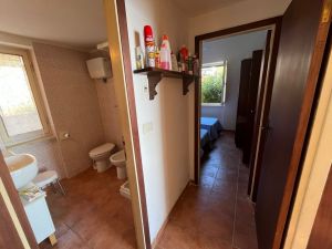Villa Arenelle del Giglio |  -  - 