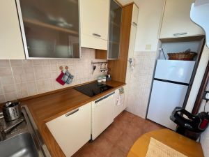 Villa Arenelle del Giglio |  -  - 