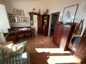 Villa Arenelle del Giglio |  -  - 