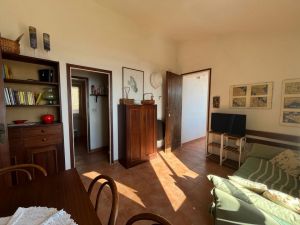 Villa Arenelle del Giglio |  -  - 