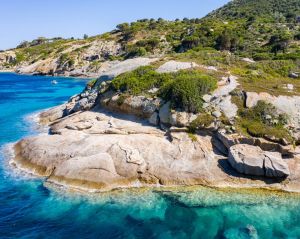Villa Arenelle del Giglio |  -  - 