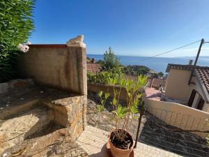 Villa Arenelle del Giglio |  -  - 
