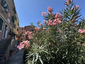 La Casa della Posta |  -  - 