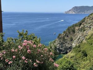 La Casa della Posta |  -  - 