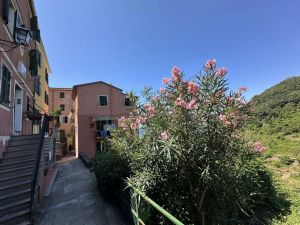 La Casa della Posta |  -  - 