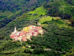 La Terrazza del Levante |  -  - 