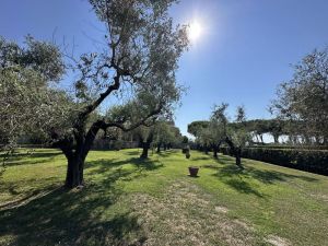 Villa Reale  |  -  - 