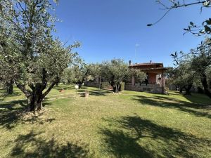Villa Reale  |  -  - 
