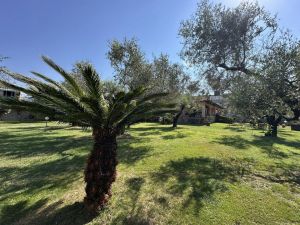 Villa Reale  |  -  - 