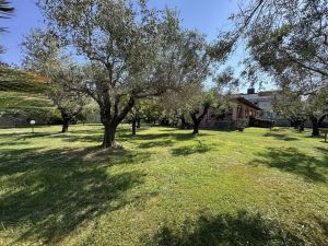 Villa Reale  |  -  - 