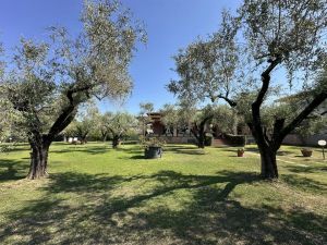Villa Reale  |  -  - 