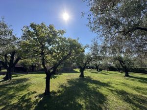 Villa Reale  |  -  - 