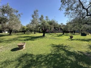 Villa Reale  |  -  - 